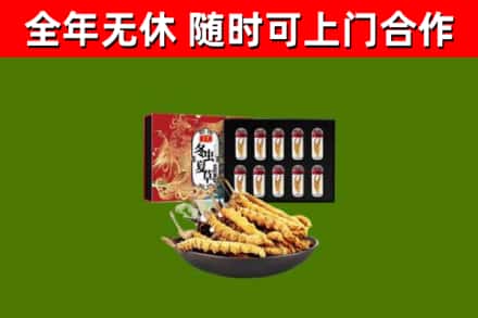 佛山烟酒回收冬虫夏草礼盒.jpg
